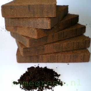 Coco Brick 1 pieces