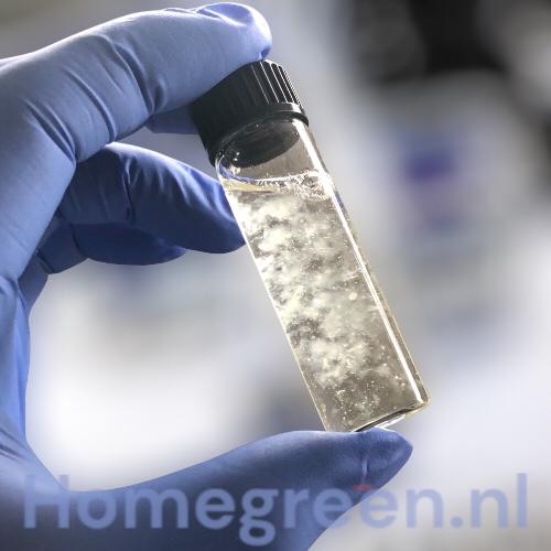 vloeibaar mycelium in cultuurbuis met injectie poort