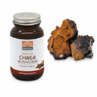 Absolute Chaga Mushroom 350mg caps